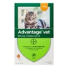 ADVANTAGE VET. OPLØSNING (KAT <4 KG)