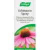 A. VOGEL ECHINACEA SPRAY